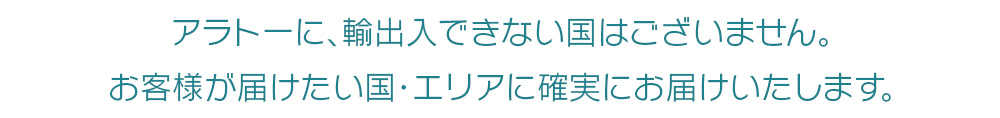 アラトーに、輸出入できない国はございません。お客さまが届けたい国・エリアに確実にお届けいたします。